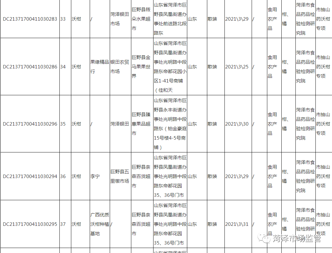 修正减肥产品哪个好