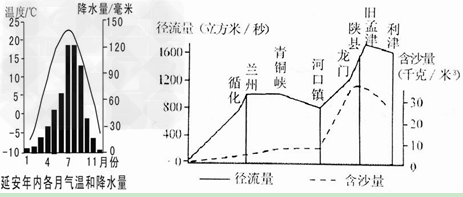 链条宽度