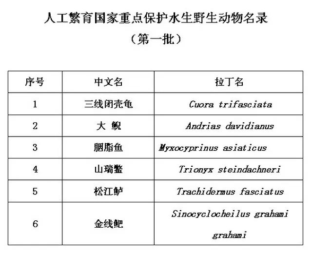 六采特马开将结果,六采特马开将结果与科学数据评估，Premium80.53.21的解析与预测,决策资料解析说明_三版77.50.20