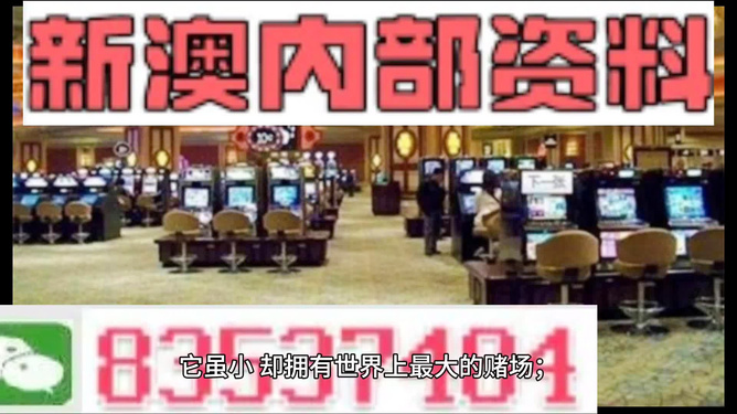 2024澳门资料大全正版资料今晚开什么,澳门未来展望与实地考察数据策略解析,高效设计计划_搢版78.73.74