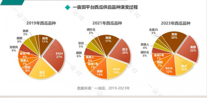 2024年全年兔费,兔年展望，实地验证执行数据与未来展望,实践说明解析_Tablet99.67.40