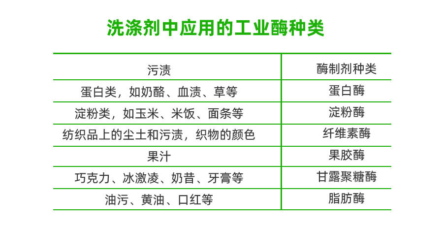 酶制剂在动物的作用