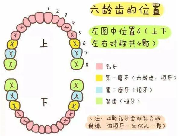 儿童口腔科多大年龄