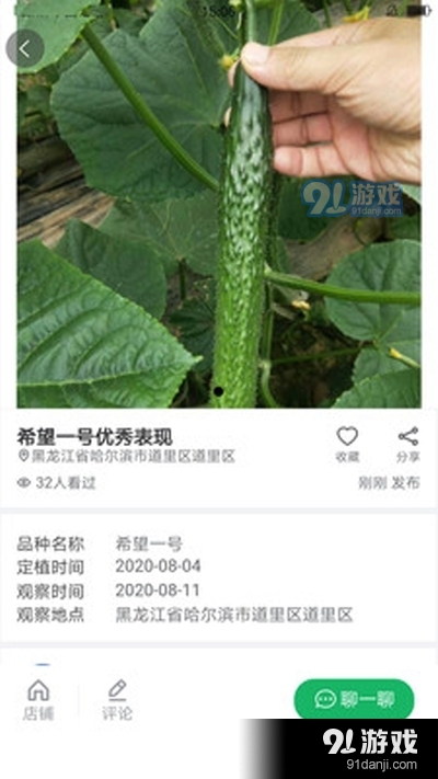 夏至吃什么菜