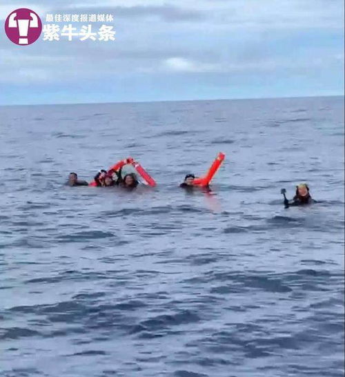 9人潜水失联28小时 被7条鲨鱼环绕