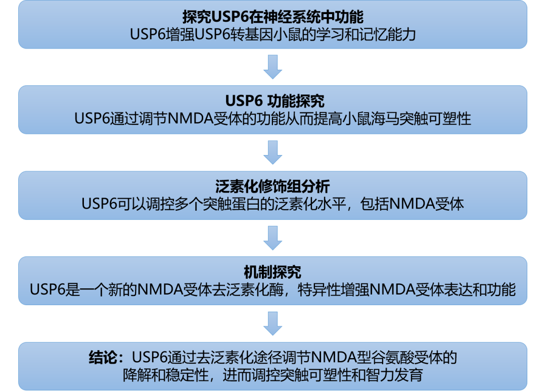 澳彩综合资料大全