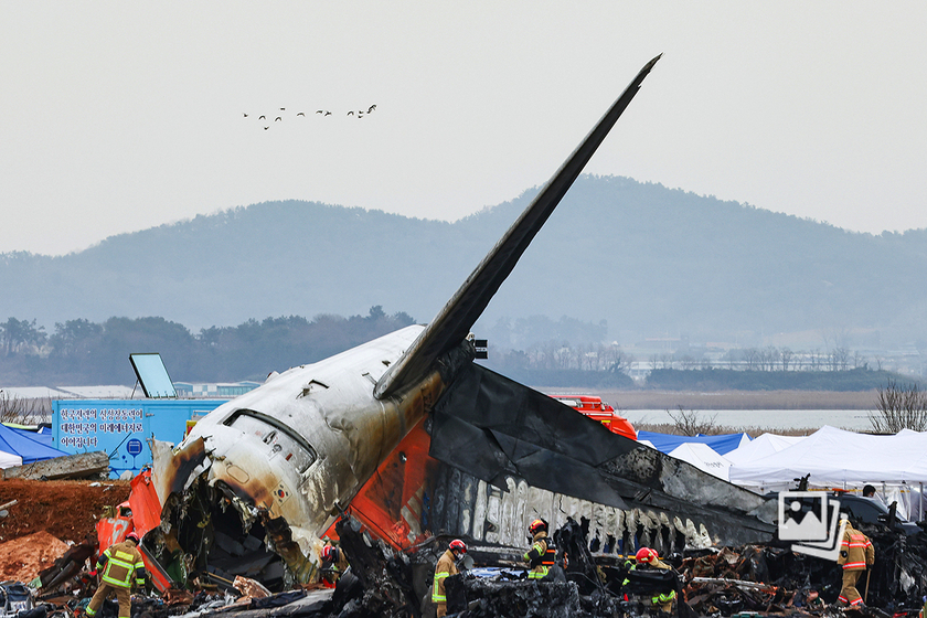 韩国空难客机引擎上发现羽毛