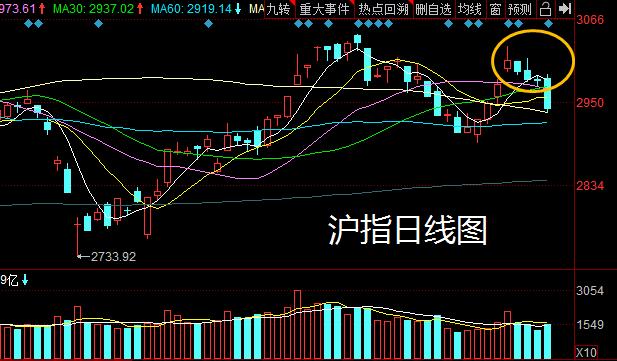 4449999火凤凰玄机双目了下一句