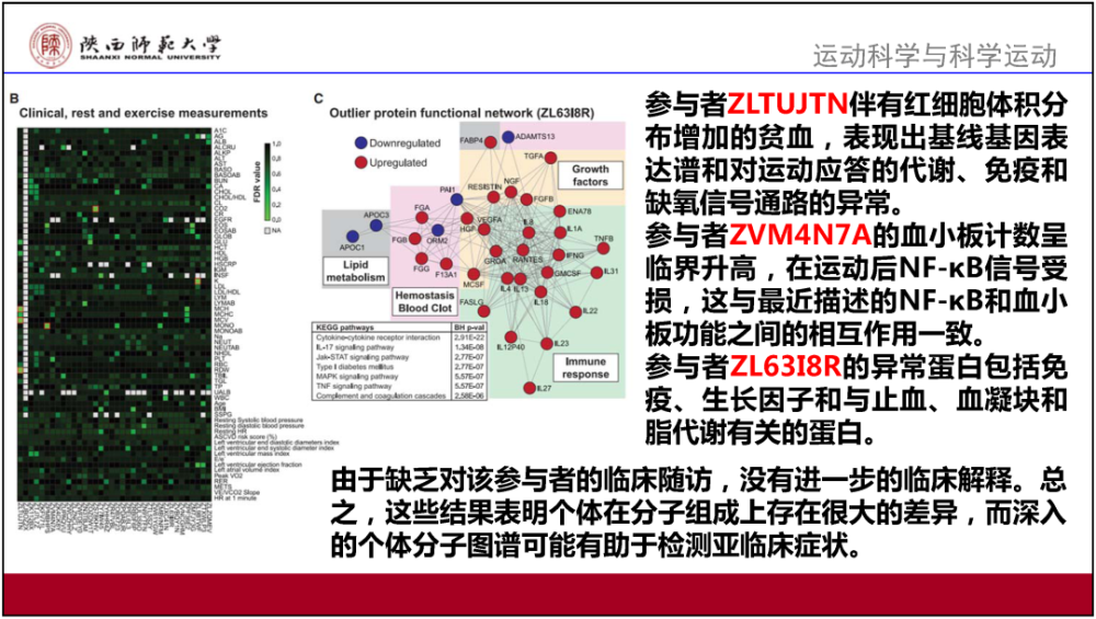 2025澳门精准资料大全