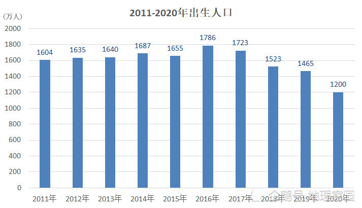 元旦宝宝卡点诞生数据应用