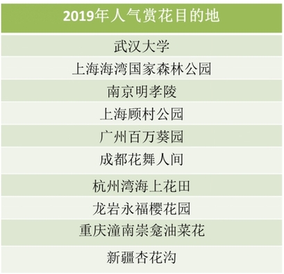 航空安全体系快速响应计划设计