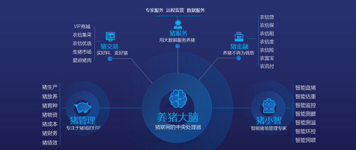 生命礼物实地分析数据应用