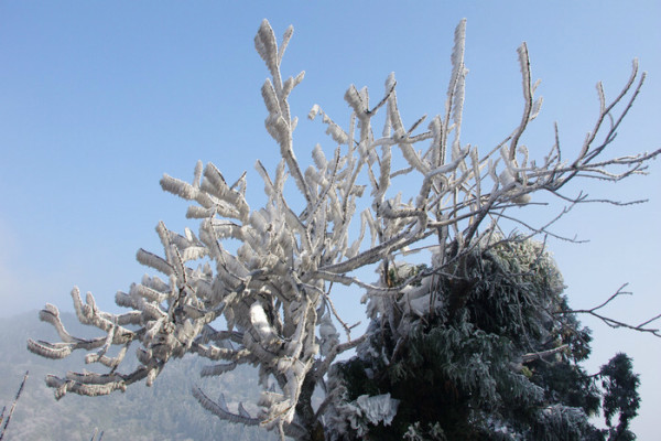 长春一车辆冰雪天坠江