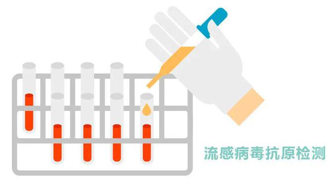 甲流出现症状48小时内用药最好数据驱动计划_Holo27.14.26