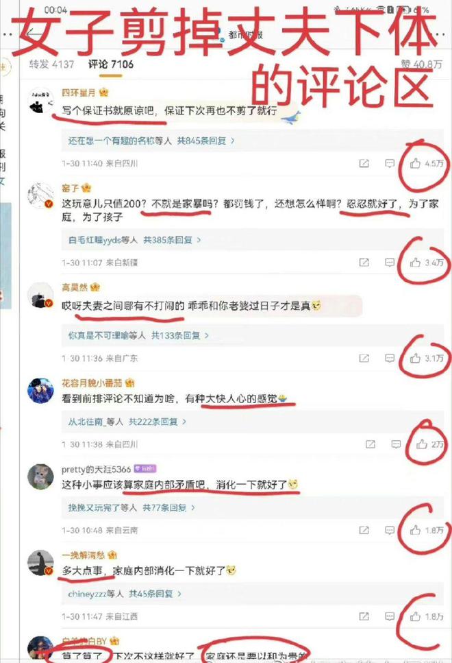 家暴安全解析方案