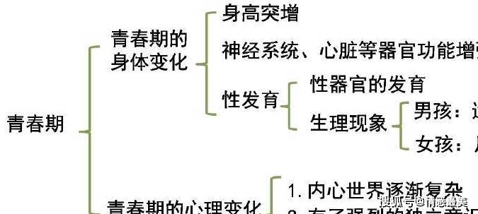 汤唯父亲回应费翔抽到自己的书法