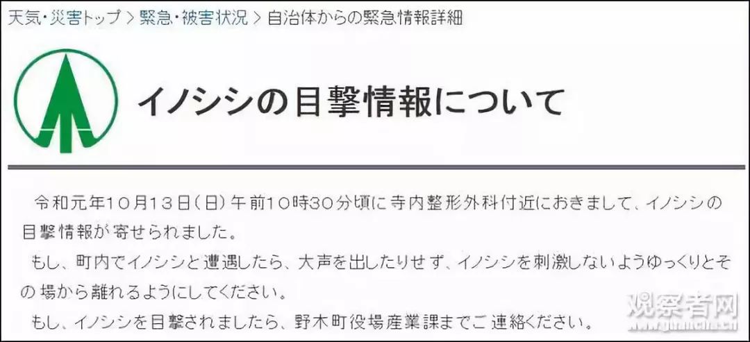 印度一头野猪大闹超市深度评估解析说明_Advanced84.27.47