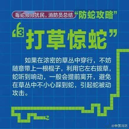 解析方法/续版