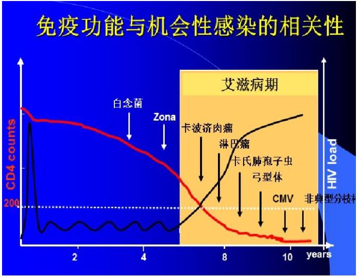 蔡磊身体机能断崖式下降